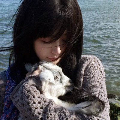 犬出没注意