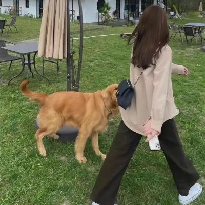 长笛与箭
